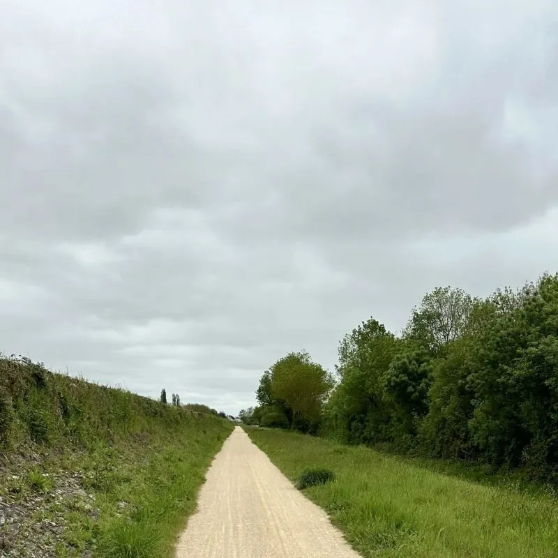 Chemin de sable bordé de verdure de chaque côté. On en voit pas le bout du chemin.
